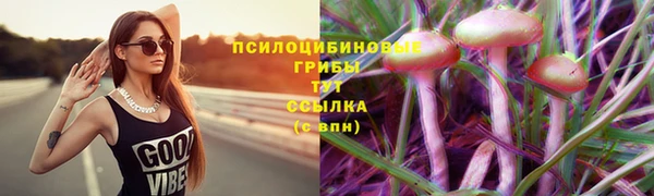 ALPHA-PVP Алексин