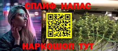 гашик Будённовск