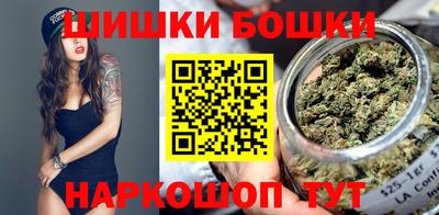 гашик Будённовск
