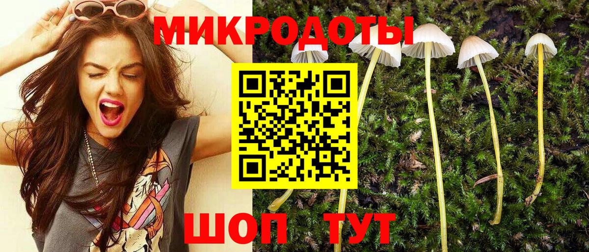 Галлюциногенные грибы Psilocybine cubensis  Вход с VPN  Псилоцибиновые грибы MAGIC MUSHROOMS  Котовск 