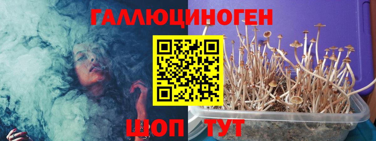 Галлюциногенные грибы прущие грибы Котовск